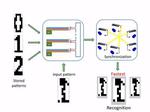 Research at Pitt into “materials that compute” advances as engineers demonstrate system performs pattern recognition
