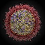 Science at cusp of ‘transformational’ grasp of life via cell modeling, researchers say