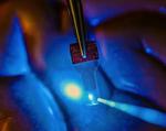 See-through sensors open new window into the brain