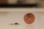 Tiny electronic device can monitor heart, recognize speech