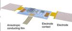 This tiny electronic device applied to the skin can pick up heart and speech sounds
