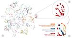 Zero-Shot Translation with Google’s Multilingual Neural Machine Translation System