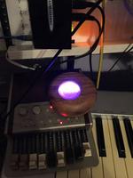 Leslie Birchinator - Neopixel Arduino MIDI switch