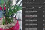 How to post data to google sheets using ESP8266