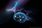 Our brains have a basic algorithm that enables our intelligence