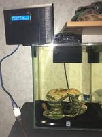 Arduino Automatic Fish Feeder