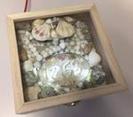 Making-Of Sea Shell Sand Clock