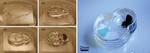 Implantable Microrobots