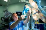 Gut Decision: Scientists Identify New Organ in Humans