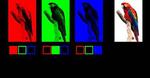 Novel Liquid Crystal Could Triple Sharpness of Today’s Televisions