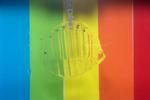 Transparent, gel-based robots can catch and release live fish