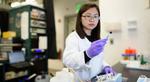 Stanford researchers say extracting uranium from seawater could help nuclear power play a larger role in a carbon-free energy future