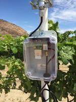 Vinduino, a wine grower’s water saving project