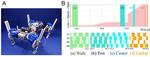 Quadruped robot exhibits spontaneous changes in step with speed