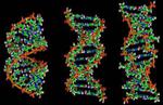 Computing with Biochemical Circuits Made Easy