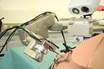 “Instrument Flight” to the Inner Ear
