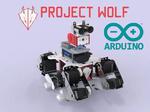 Wolf: Search and Rescue Multi-Terrain Robot