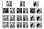 A faster single-pixel camera