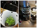 Grow Anything Grow Bucket for $50