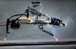 An Ostrich-Like Robot Pushes the Limits of Legged Locomotion