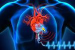 Battery-free implantable medical device draws energy directly from human body