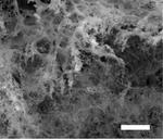 Gas gives laser-induced graphene super properties