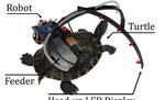 Parasitic Robot System for Turtle’s Waypoint Navigation