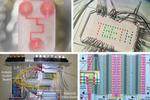 Microfluidics for the masses