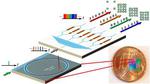 Optical Communication at Record-High Speed