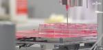 Spanish scientists make advances in 3D printing bone and cartilage tissue