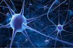 Sony Makes “Core Libraries” of its Deep Learning Tools Available as Open Source