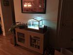 Indoor Greenhouse With Touch Screen Control