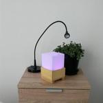 Laura: Emotional Compass Lamp