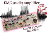 Build an EMG Audio Amplifier! (Electromyography)