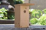 Complete Raspberry Pi Weather Station