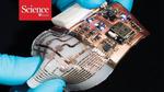 New ‘superglue’ could seal the deal for stretchable batteries, soft robots