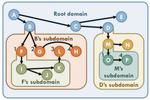 Practical parallelism