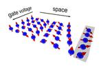 Manipulating Electron Spins Without Loss of Information