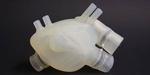 Testing a soft artificial heart