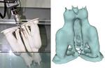 BGU Researcher Develops New 3-D Scanning Technique