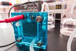 Building a better battery