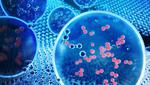 It’s something in the water: LLNL scientists extract hydrogen as potential fuel source