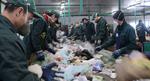 Bye-Bye, Landfills! Russian Scientists Create Biodegradable Polyethylene