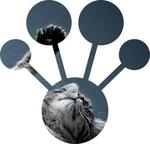 CatBoost is an open-source gradient boosting library with categorical features support