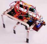 How to Build a Hexapod Walker Robot with Raspberry Pi