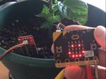 Micro:bit Moisture sensor
