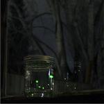 Jar of Fireflies