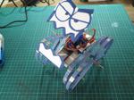 Bouncy Legs Walking Robot