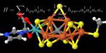 Clarifiying complex chemical processes with quantum computers