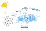 Lights! Action! Photo-Activated Catalyst Grabs CO2 to Make Ingredients for Fuel